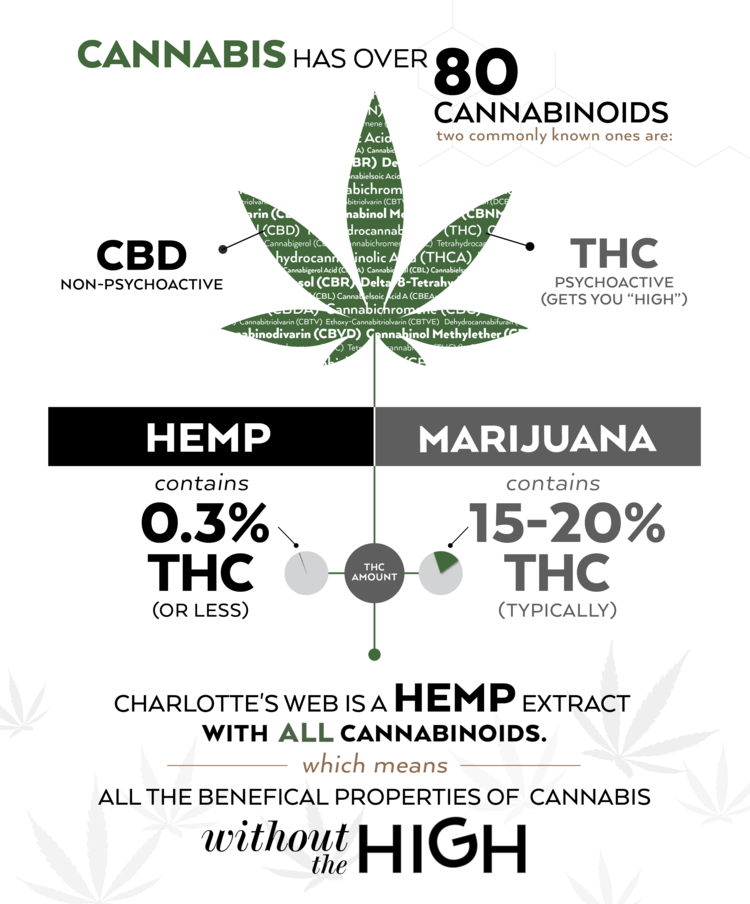 Marijuana & Hemp CBD: Differences and Similarities | Cannabis Copywriter