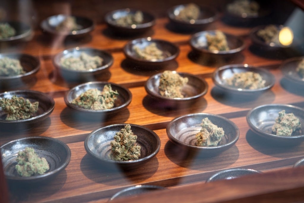 how to start and online dispensary in Canada